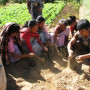 SHG-women-planting-seedling-for-tree nursery