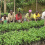 Ecotrust TGB Bushenyi nursery