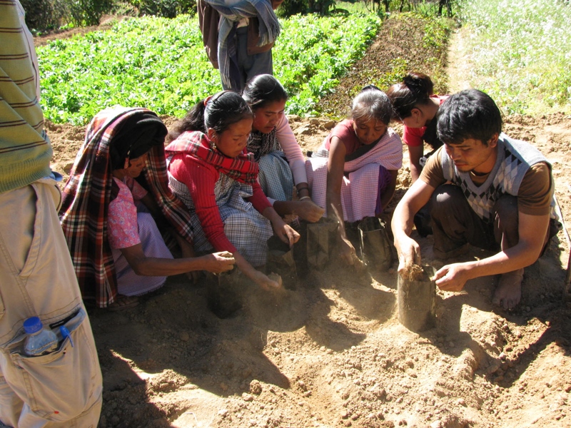 shg women planting seedling for tree nursery cotap