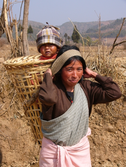 woman gathering firewood with child cotap