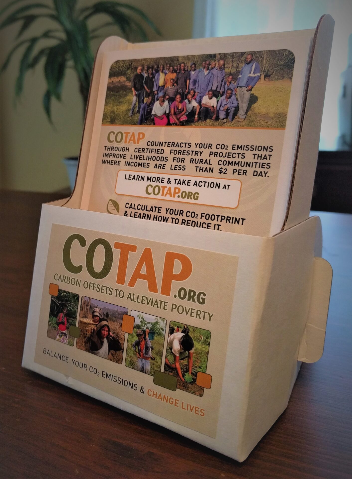 The COTAP Marketing Display